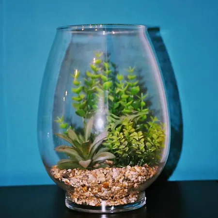 A - 'esprit Zen' 公寓